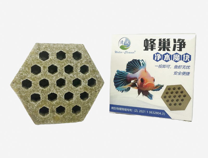 惠州菌方